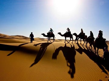 Camel trek