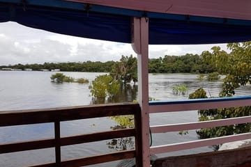 Three-Day Amazon River Boat Tour from Manaus to Novo Airao