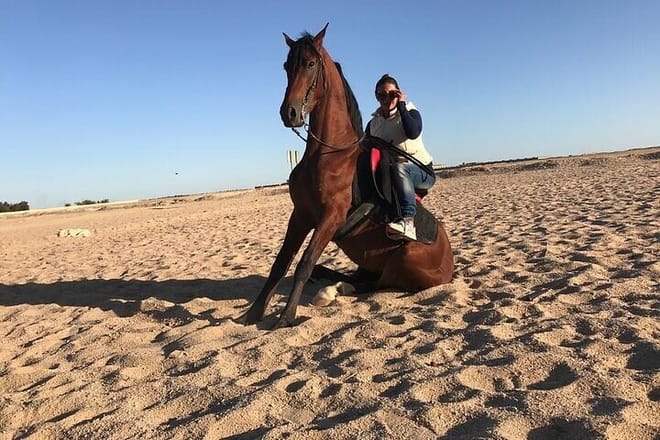 2 Hours Desert Horse Riding Adventure with Transfer - Marsa Alam