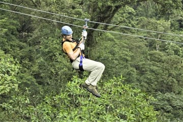 Zipline Canopy and Dunn's River Falls Tour in Ocho Rios