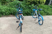 Private Biking Day Tour in Guangzhou College Town 7