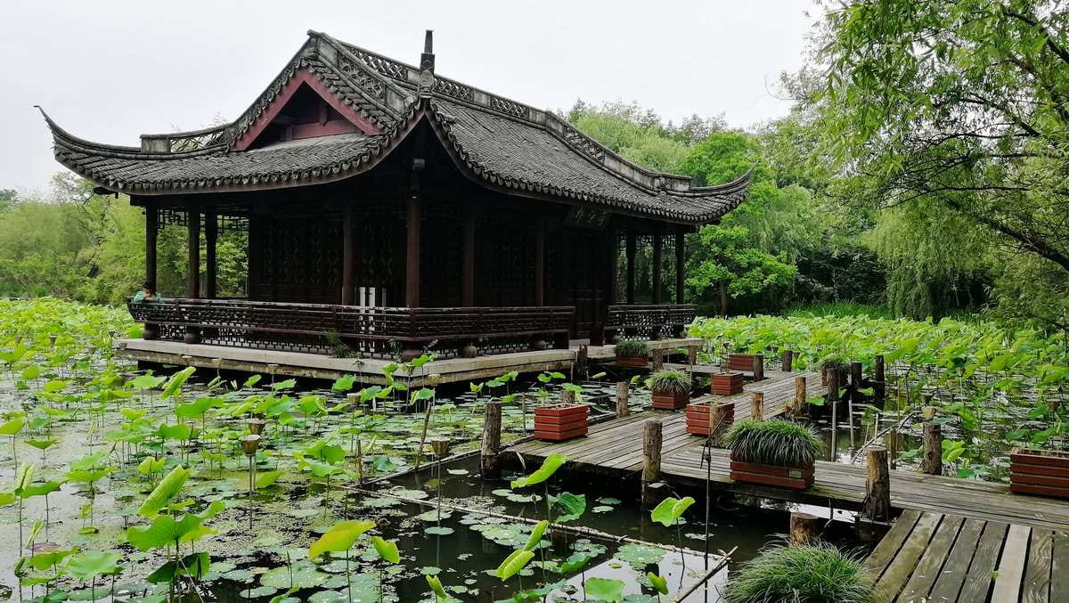 Glide Through Hangzhou's Green Heart: Xixi National Wetland Park
