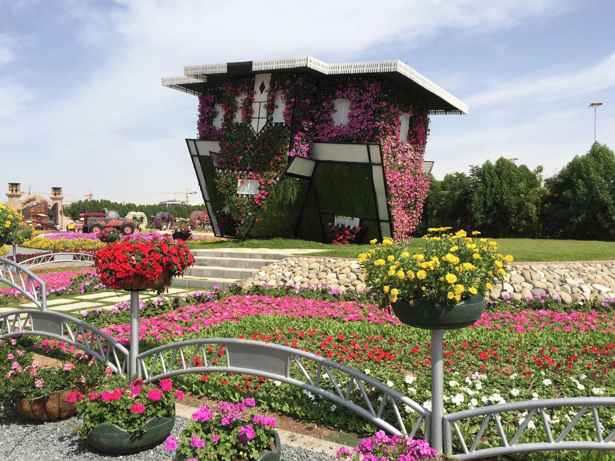 Dubai : Miracle Garden, The World’s Largest Flower Paradise