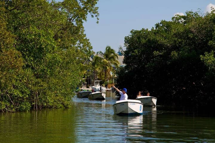 Key West Safari Eco Boat Tour