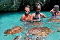 Explore Stone Town and Jozani Forest with Turtles Zanzibar 9