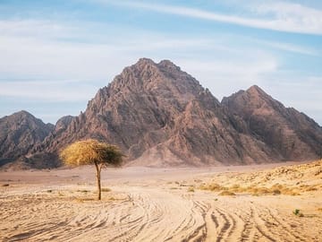 Private Buggy Adventure in the Sinai Desert from Sharm El Sheikh