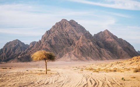 Private Buggy Adventure in the Sinai Desert from Sharm El Sheikh