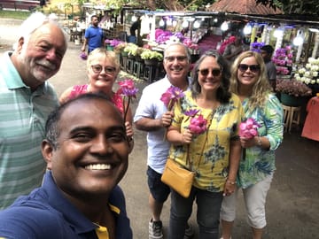 Colombo Shore Excursions