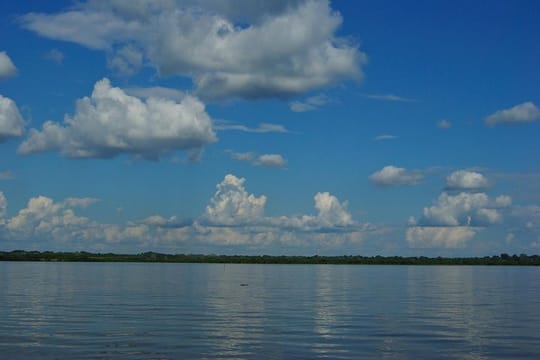 Iquitos Transfer: Cruise Port to Iquitos Hotels or viceversa