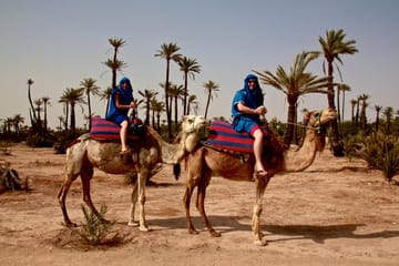 Camel Ride Tour in Marrakech with Berber Lifestyle Insights