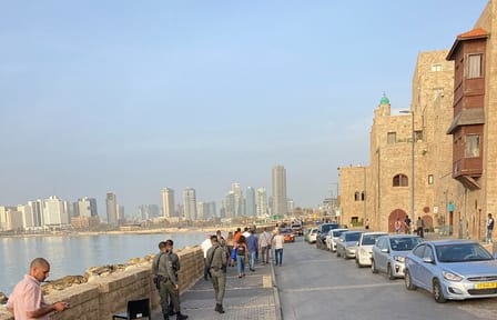 Tel Aviv Cultural Tour with Krav Maga Lesson by Soldier