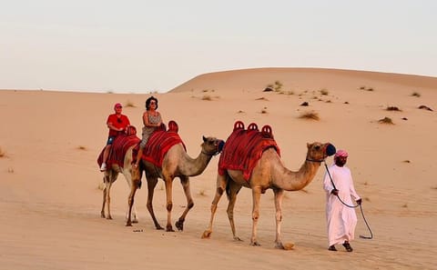 Dubai ATV and Camel Ride Desert Tour