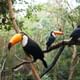 Bird Park