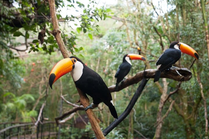 Bird Park