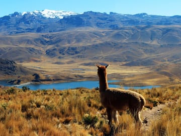 Shades of Peru, Private Tour