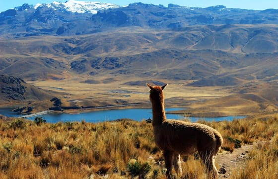 Huaraz, the Heart of the Mountains – Semi-private tour