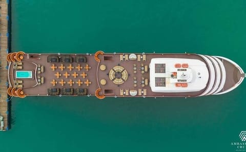 Halong Bay Day Cruise with Premium Lunch and Scenic Views