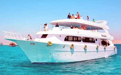 Snorkeling Adventure with Dolphins in Samadai, Marsa Alam