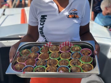 VIP Catamaran Snorkeling and Brunch Tour in Noord, Aruba