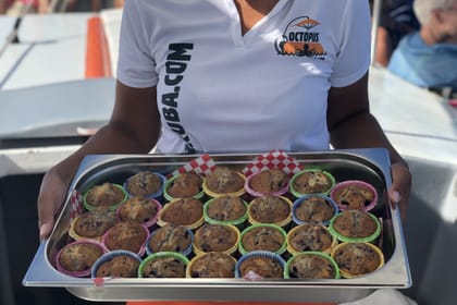 Catamaran VIP Morning Adventure: Snorkeling, Mimosa & Brunch