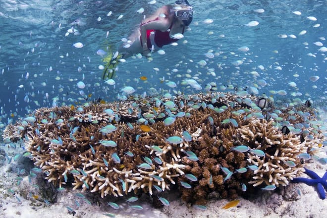 Bali: Padangbai Blue Lagoon Snorkeling Day Trip 7