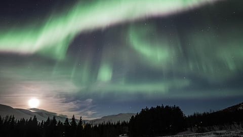Northern lights from Akureyri: which tour