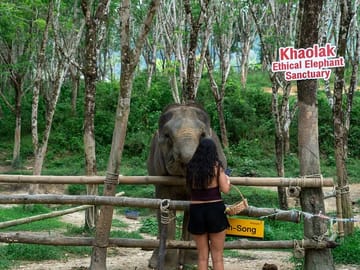 Khaolak Elephant Sanctuary, Cooking Class and Waterfall Tour
