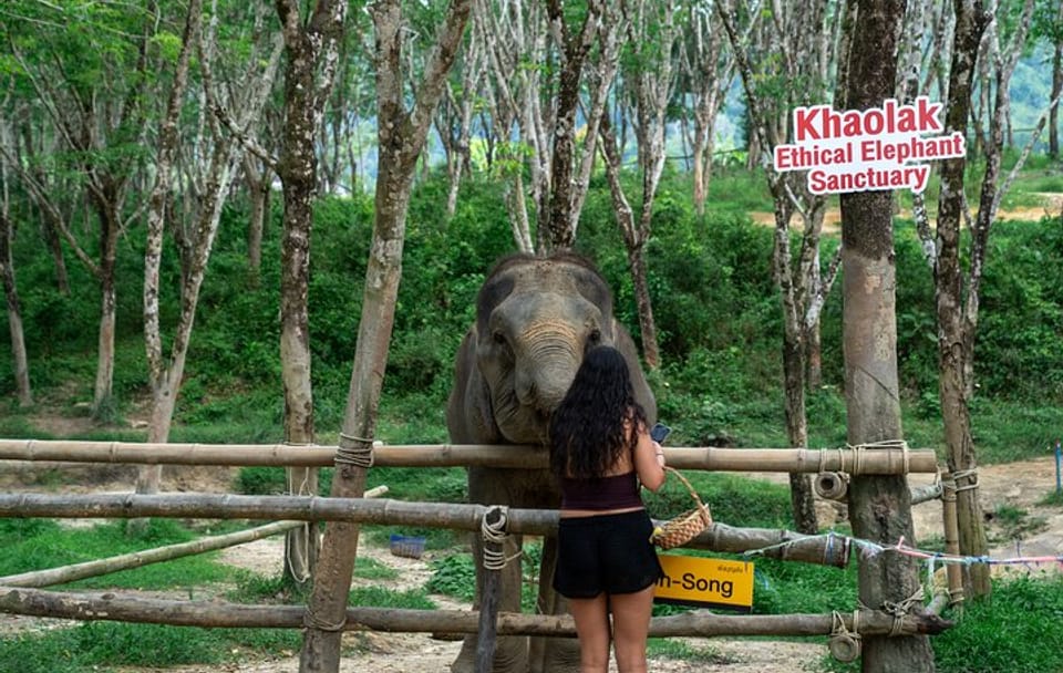 Khaolak Elephant Sanctuary, Cooking Class and Waterfall Tour