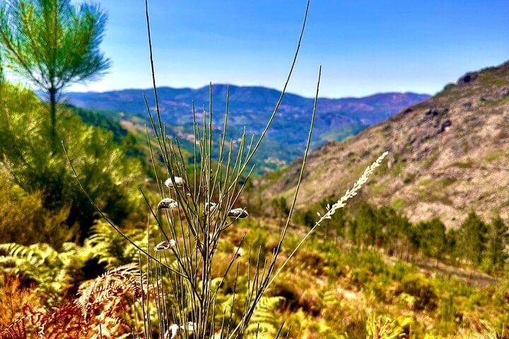Gerês 7 Lagoons Tour Walk, Picnic & Memorable Moments