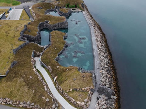 Family Volcano Discovery – Private Reykjanes Peninsula & Sky Lagoon Experience, photo 12