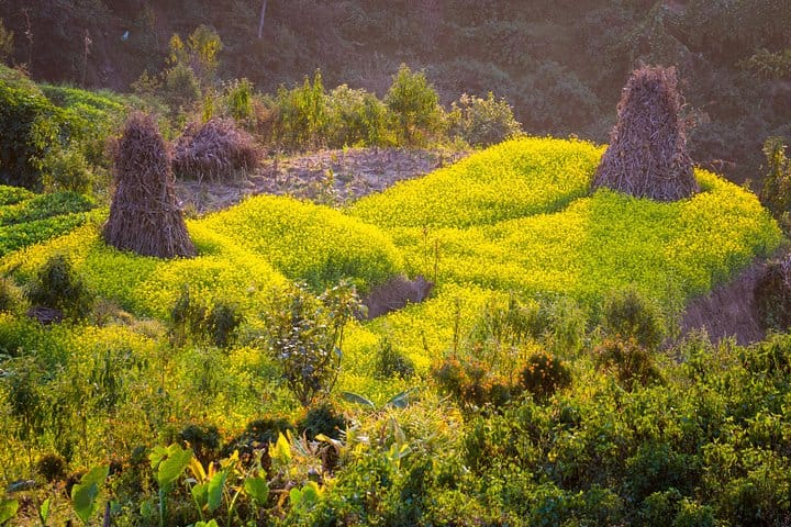 19 Days Mera Peak Climbing & Expedition – One Life-Changing Himalayan Adventure