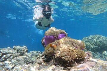 Blue Hole and Dahab City Adventure Tour from Sharm El Sheikh