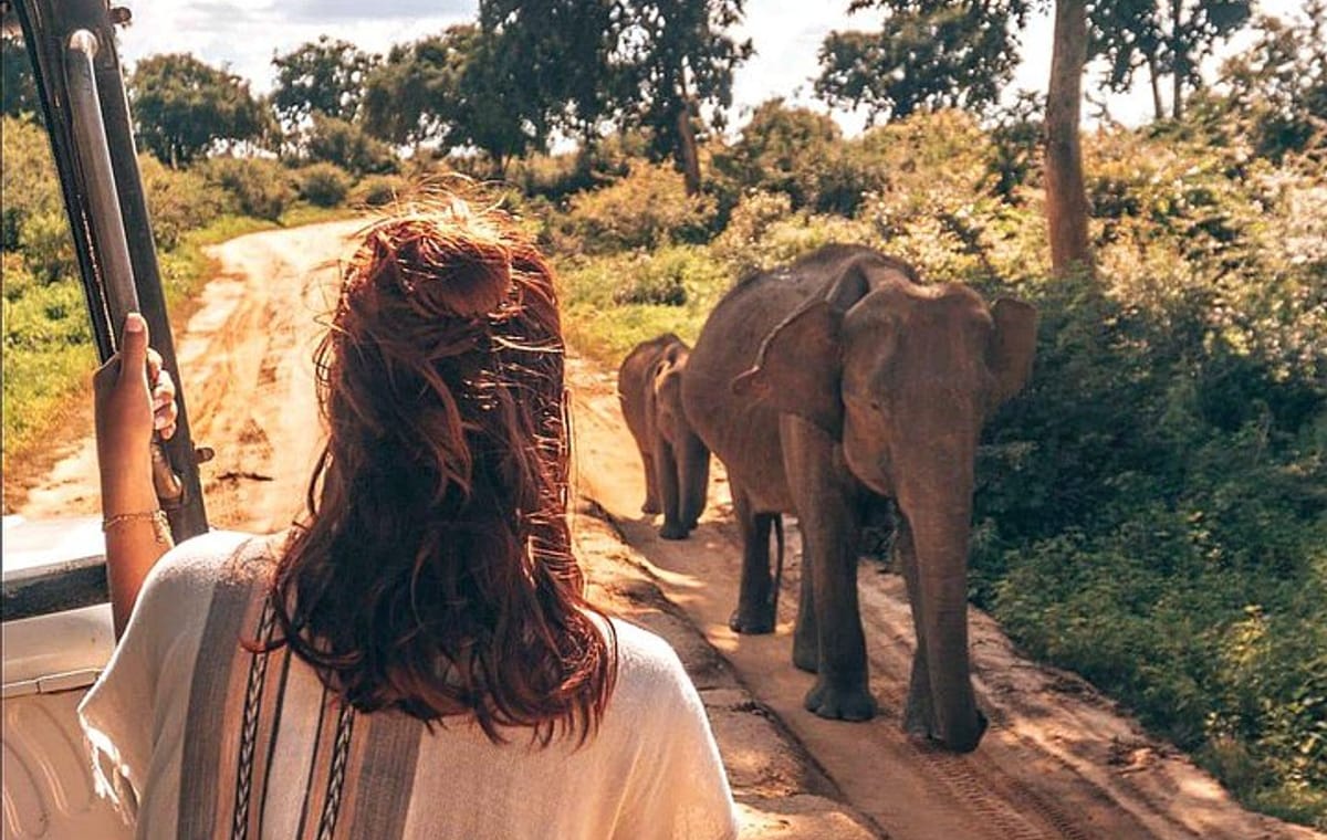 Day Excursion to Udawalawe from Colombo