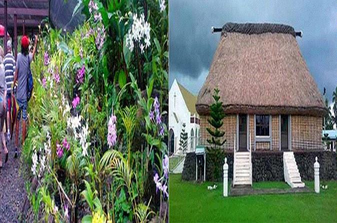 Historical and Cultural Tour of Nadi - Shore Excursions