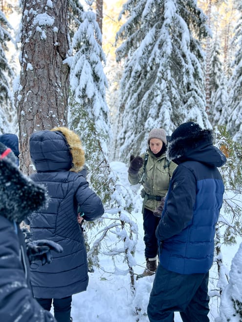 Winter Wonderland Hike in a National Park 7