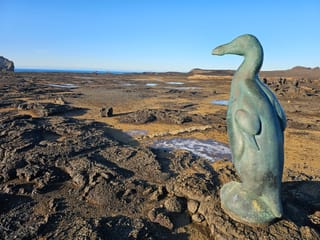 Keflavík to Reykjavík - private tour with Reykjanes Peninsula & Blue Lagoon, photo 14