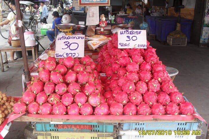 "Chiang Mai by Bike: Temples, Food & Hidden Streets!" 8