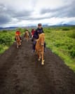 Viking Horses Sleipnir Evening Tour 3