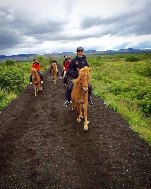 Viking Horses Sleipnir Evening Tour photo 3
