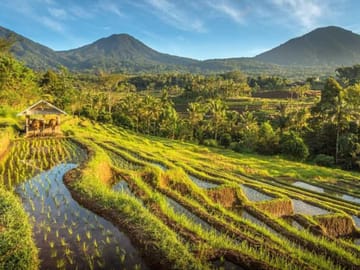 Mount Batur: Sunrise Jeep Tour & Natural Hot Spring