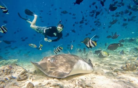 Maafushi full day tour