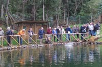 Private VIP Full Day 4X4 Tour: East or West 9