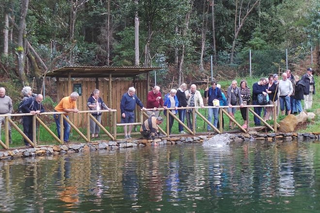 Private VIP Full Day 4X4 Tour: East or West 9