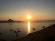 Embark on a 4-Day, 3-Night Private Boat Adventure: Explore Komodo Island’s Wonders by Boat 6