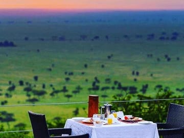 5-Day Gorilla Trekking and Wildlife Tour in Entebbe, Uganda