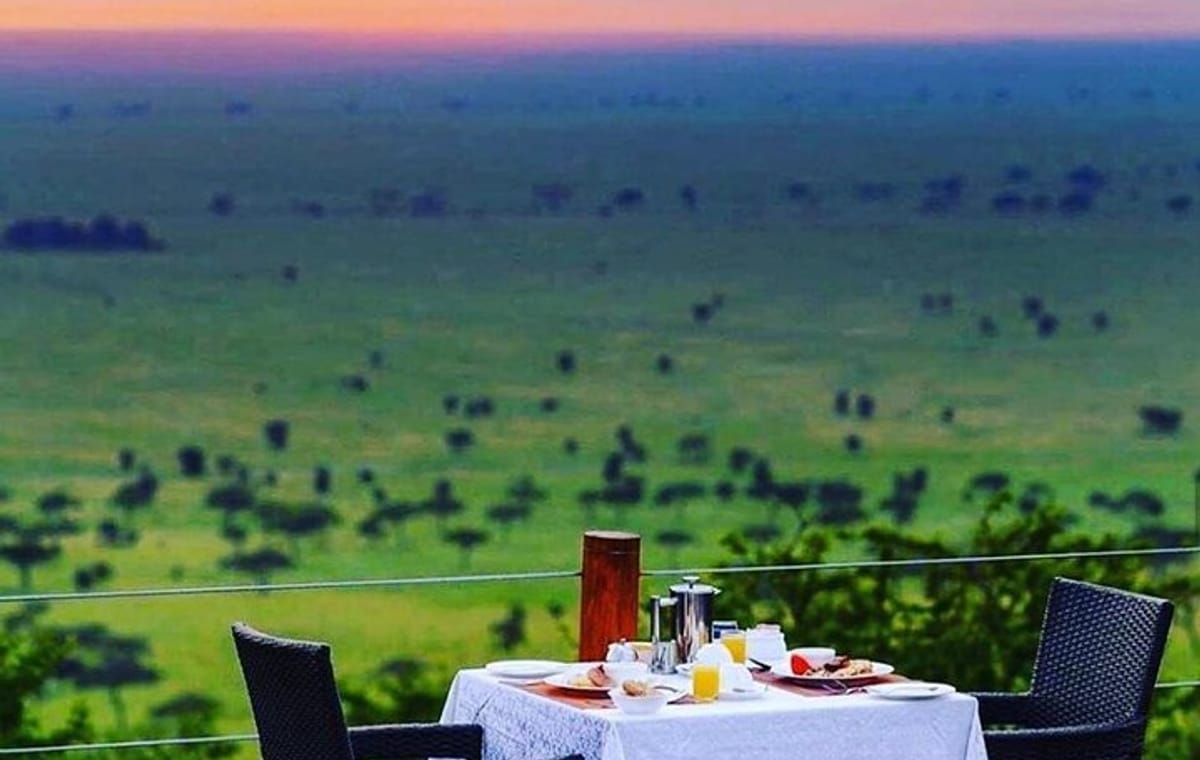 5 Day Wildlife and Gorilla Safari in Africa