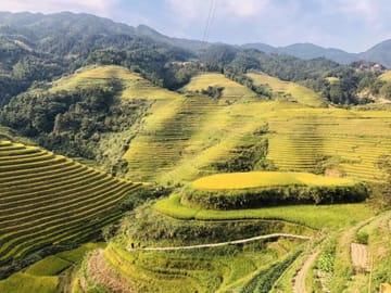 One-Day Longji Rice Terraced Fields and Minority Villages Tour