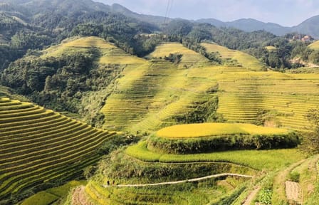 Longji Rice Terraced Fields and Minority Villages Tour
