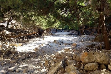 Imbros Gorge Adventure Day Trip from Chania