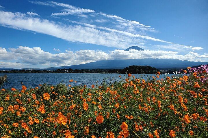 2 Days Tour Mount Fuji and Hakone